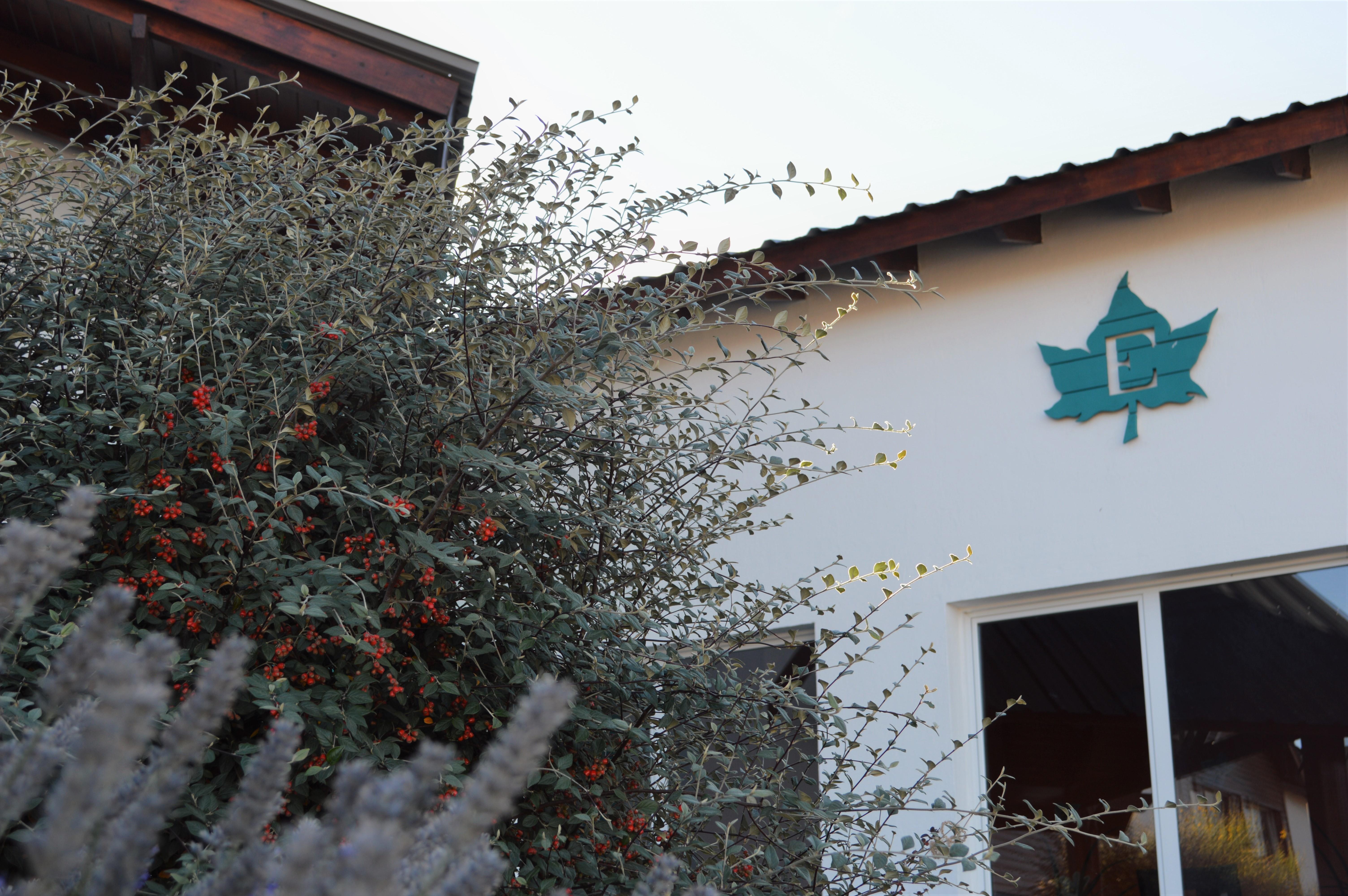 Edenia & Nature 4* El Calafate